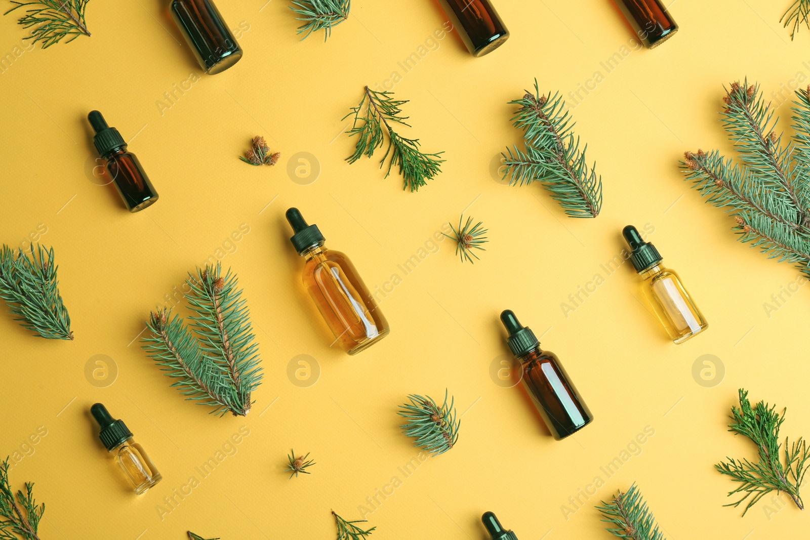 Photo of Little bottles with essential oils among pine branches on color background, flat lay