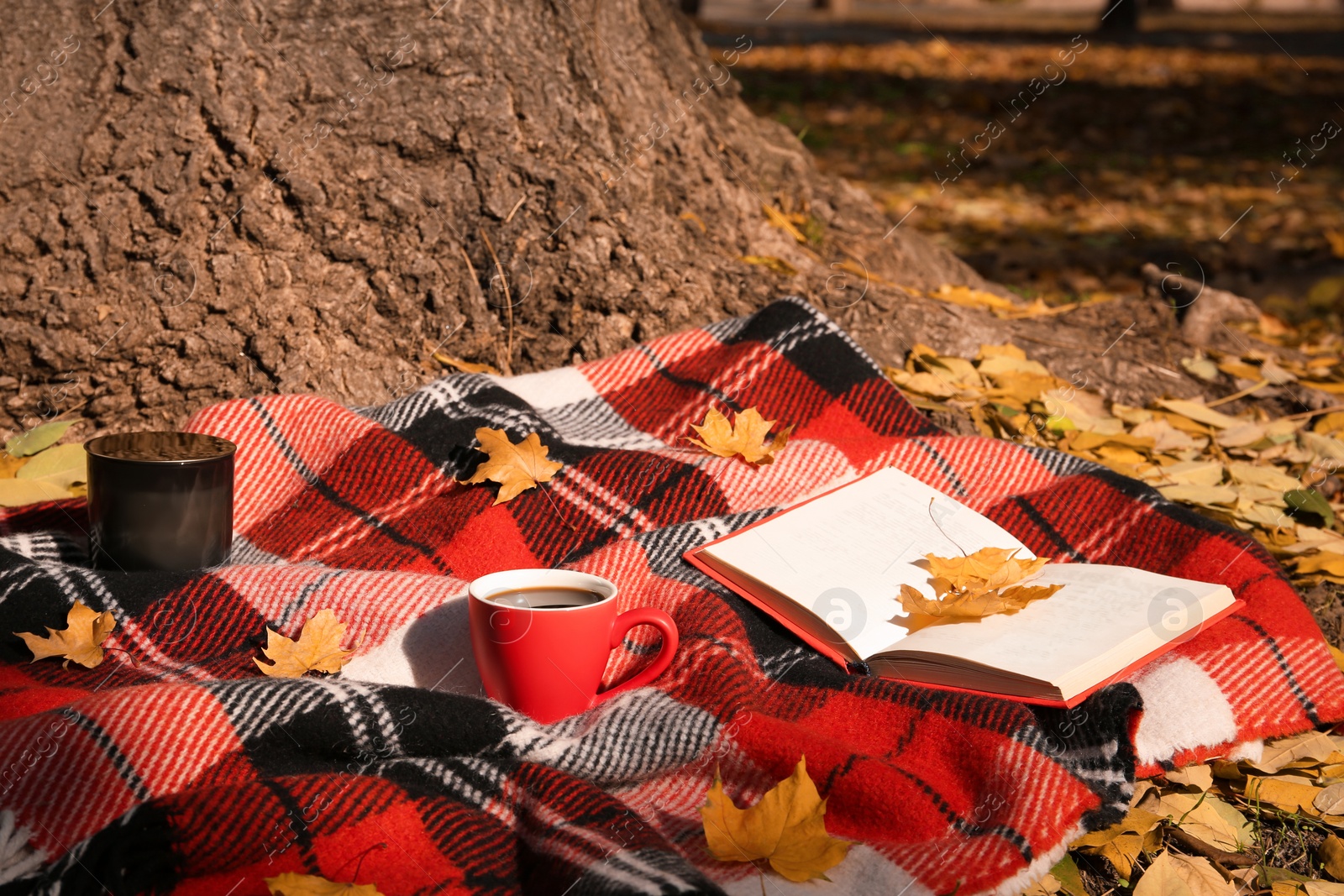 Photo of Plaid with cup of coffee, book and candle near tree in park on sunny autumn day