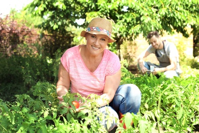 Photo of Woman working in garden on sunny day