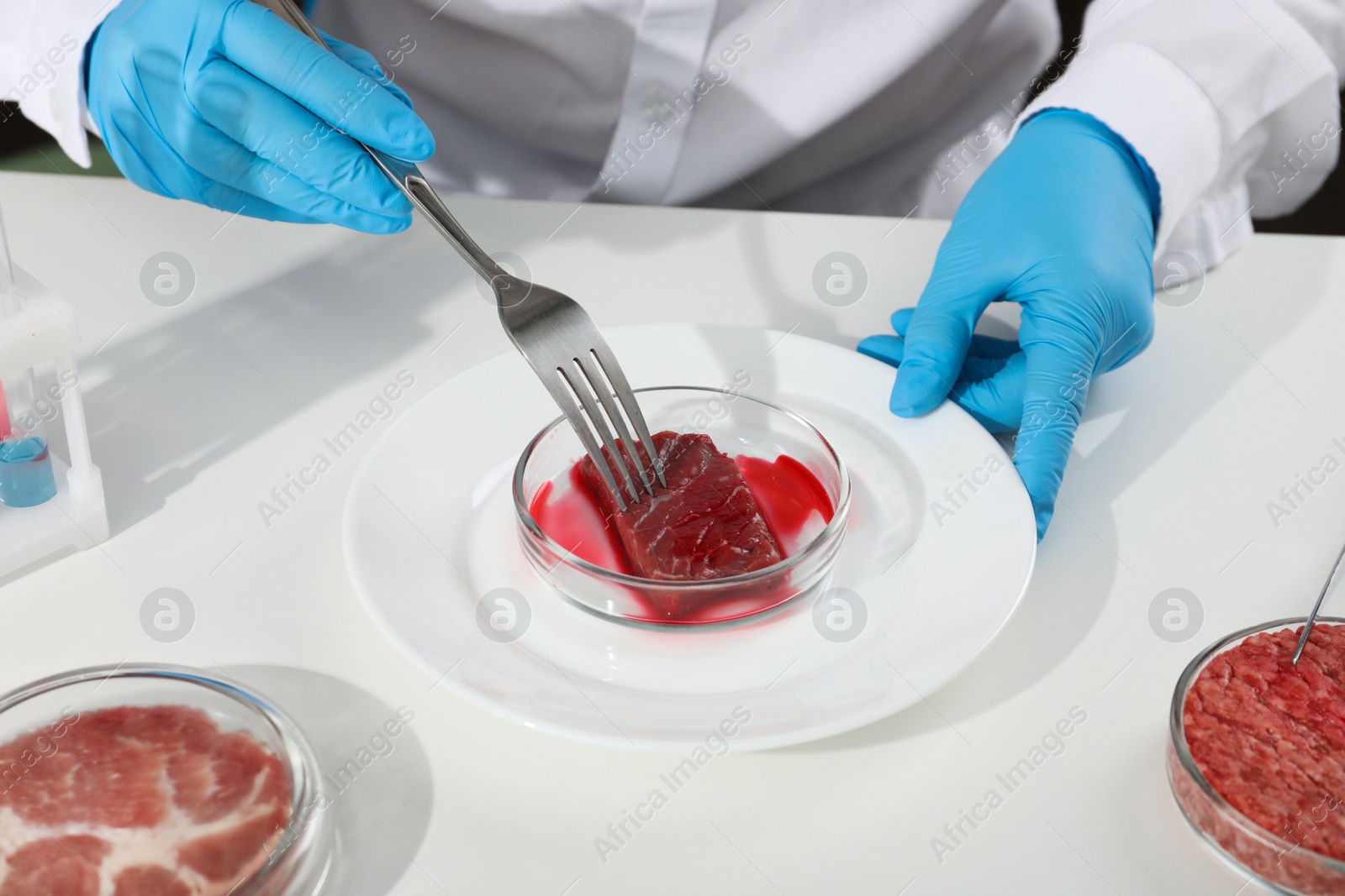 Photo of Scientist working with cultured meat in laboratory, closeup