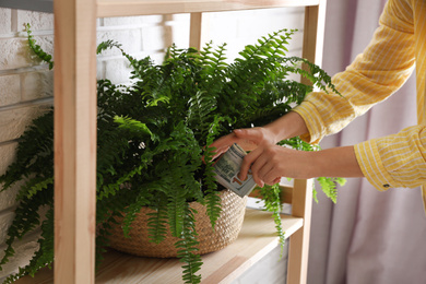 Photo of Woman hiding dollar banknotes in potted fern indoors, closeup. Money savings