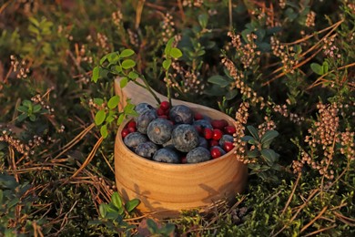 Photo of Wooden mug full of fresh ripe blueberries and lingonberries in grass