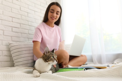 Photo of Young woman with cat working on laptop near window. Home office concept