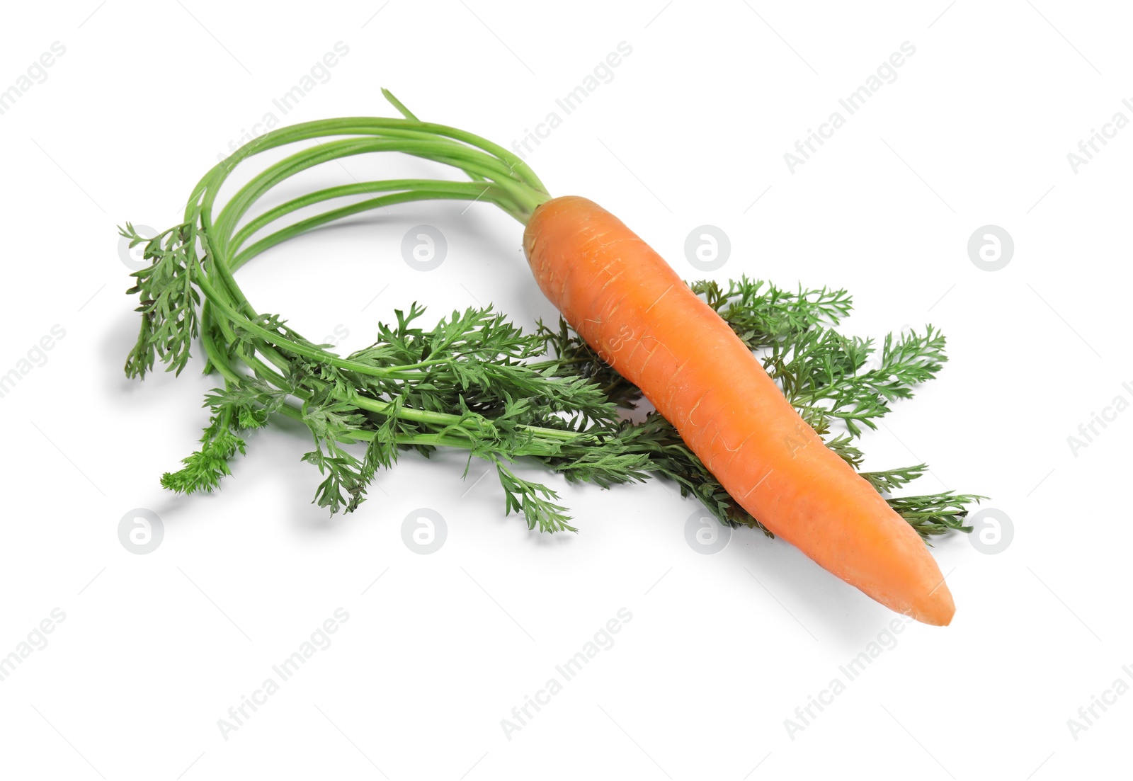 Photo of Ripe carrot on white background. Healthy diet