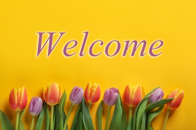 Image of Welcome card. Beautiful tulip flowers and word on yellow background, top view