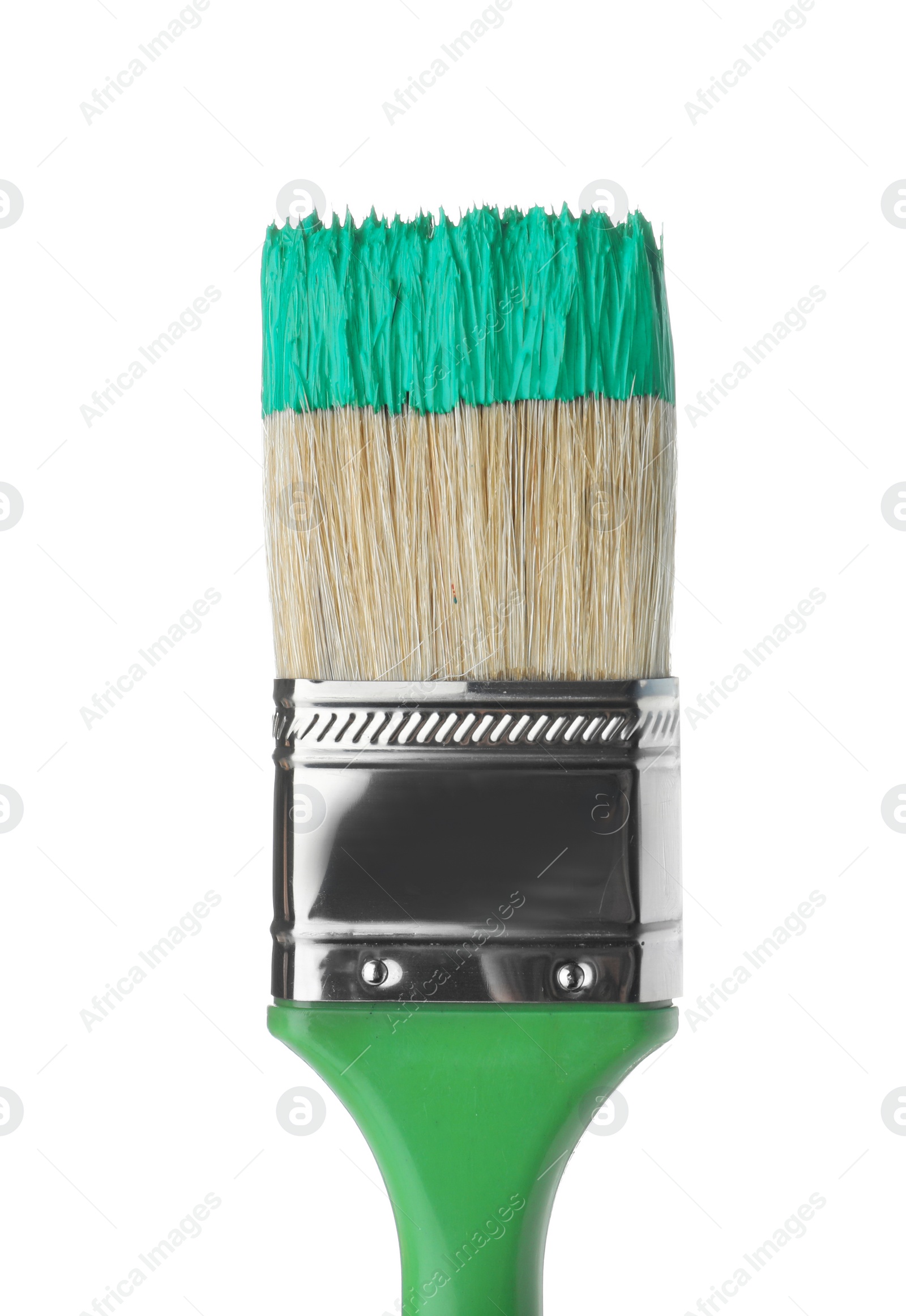 Photo of Brush with green paint on white background, closeup