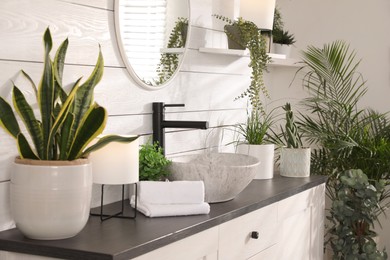 Stylish bathroom interior with vessel sink and beautiful plants