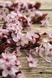 Photo of Spring branch with beautiful blossoms and leaves on wooden table, closeup