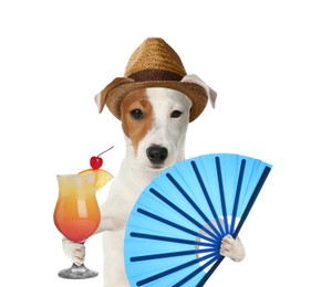 Cute dog in hat with cocktail and fan on white background. Summer party