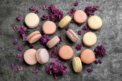 Delicious macarons and flowers on grey table, flat lay