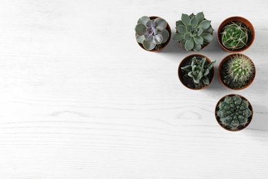 Photo of Flat lay composition with different succulent plants in pots on white wooden table, space for text. Home decor
