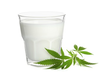 Photo of Glass of hemp milk and green leaves on white background