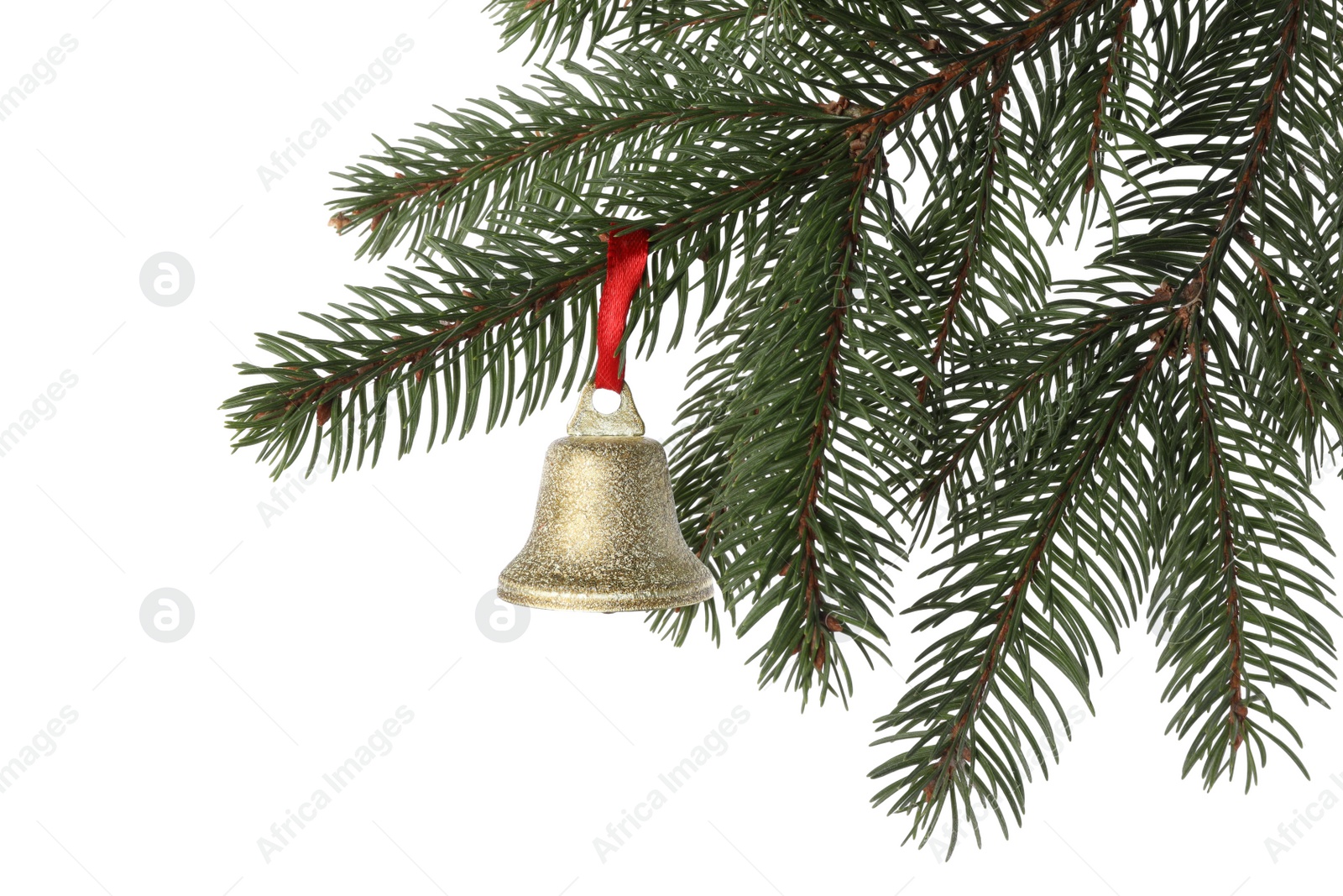 Photo of Christmas bell hanging on fir tree branch against white background