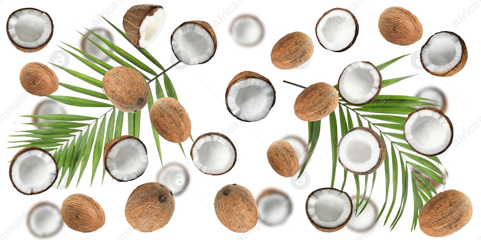 Image of Set with ripe coconuts and palm leaves on white background, top view. Banner design