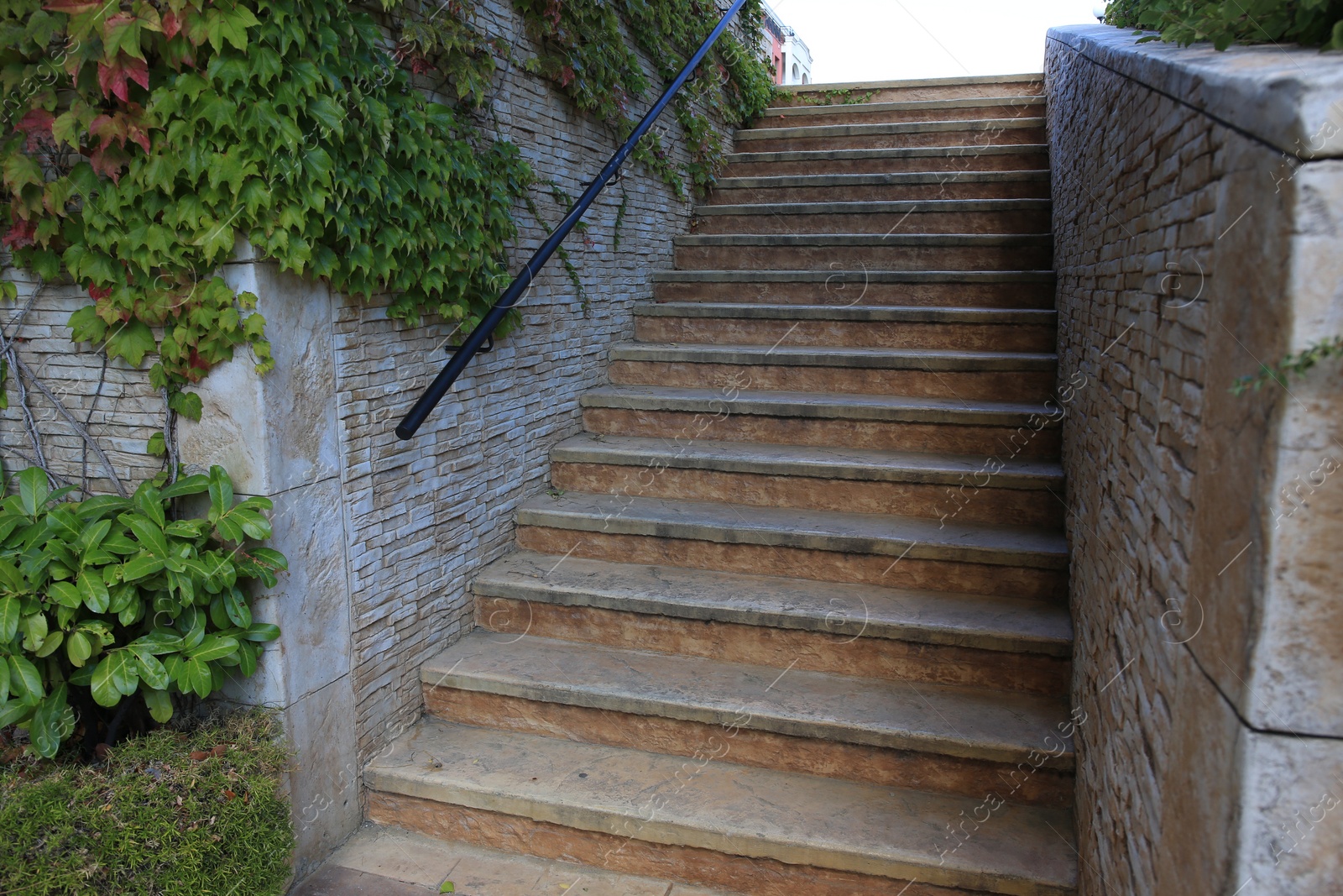 Photo of View of beautiful old stairs near brick wall with climber plant outdoors