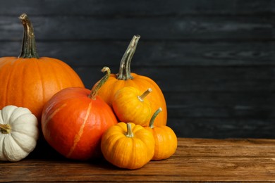 Photo of Thanksgiving day. Many different pumpkins on wooden table, space for text