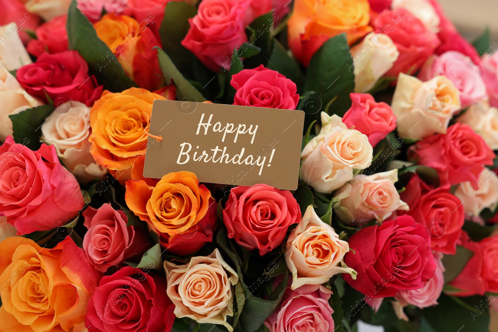 Image of Bouquet of beautiful roses with Happy Birthday card, closeup