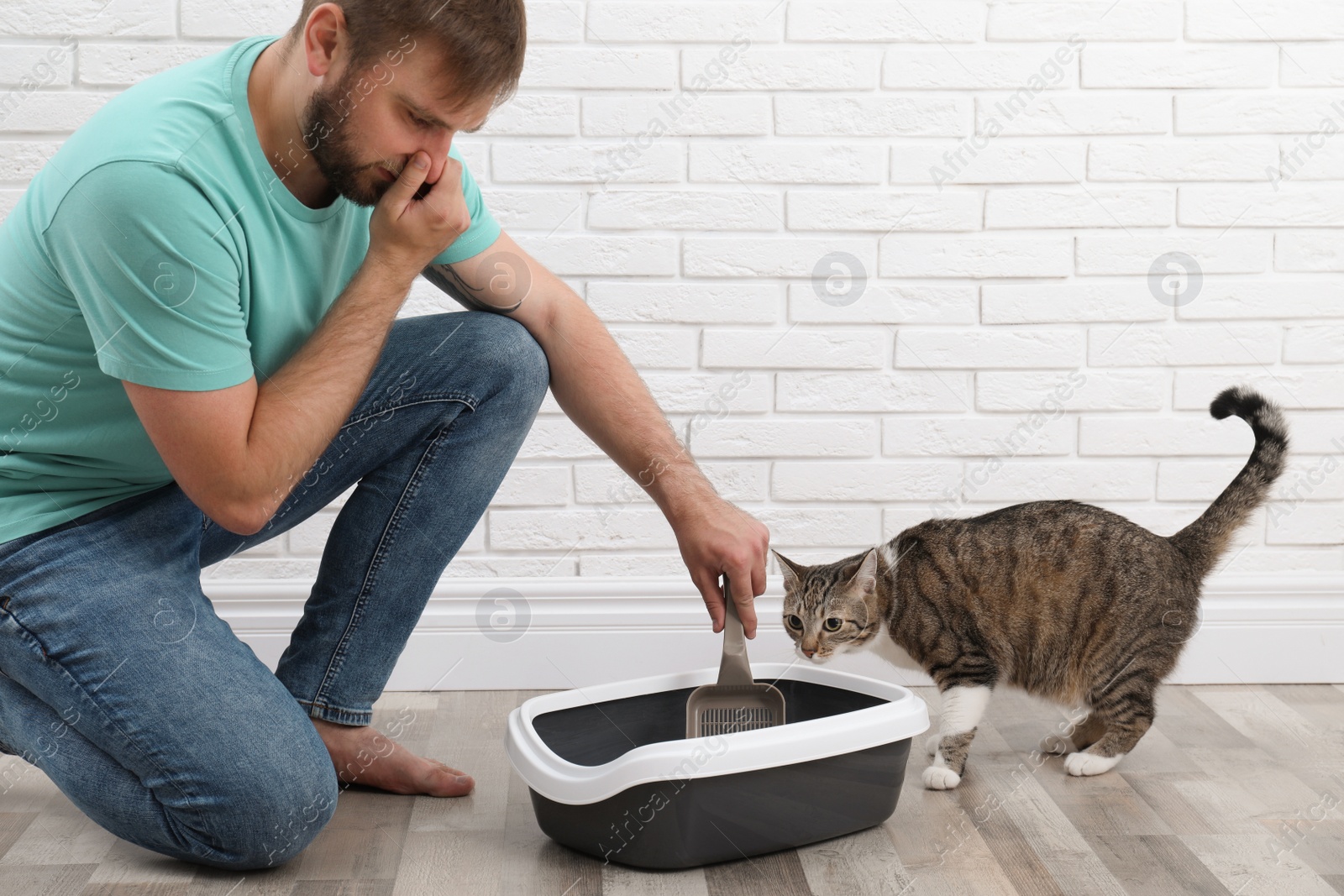 Photo of Young man cleaning cat litter tray at home