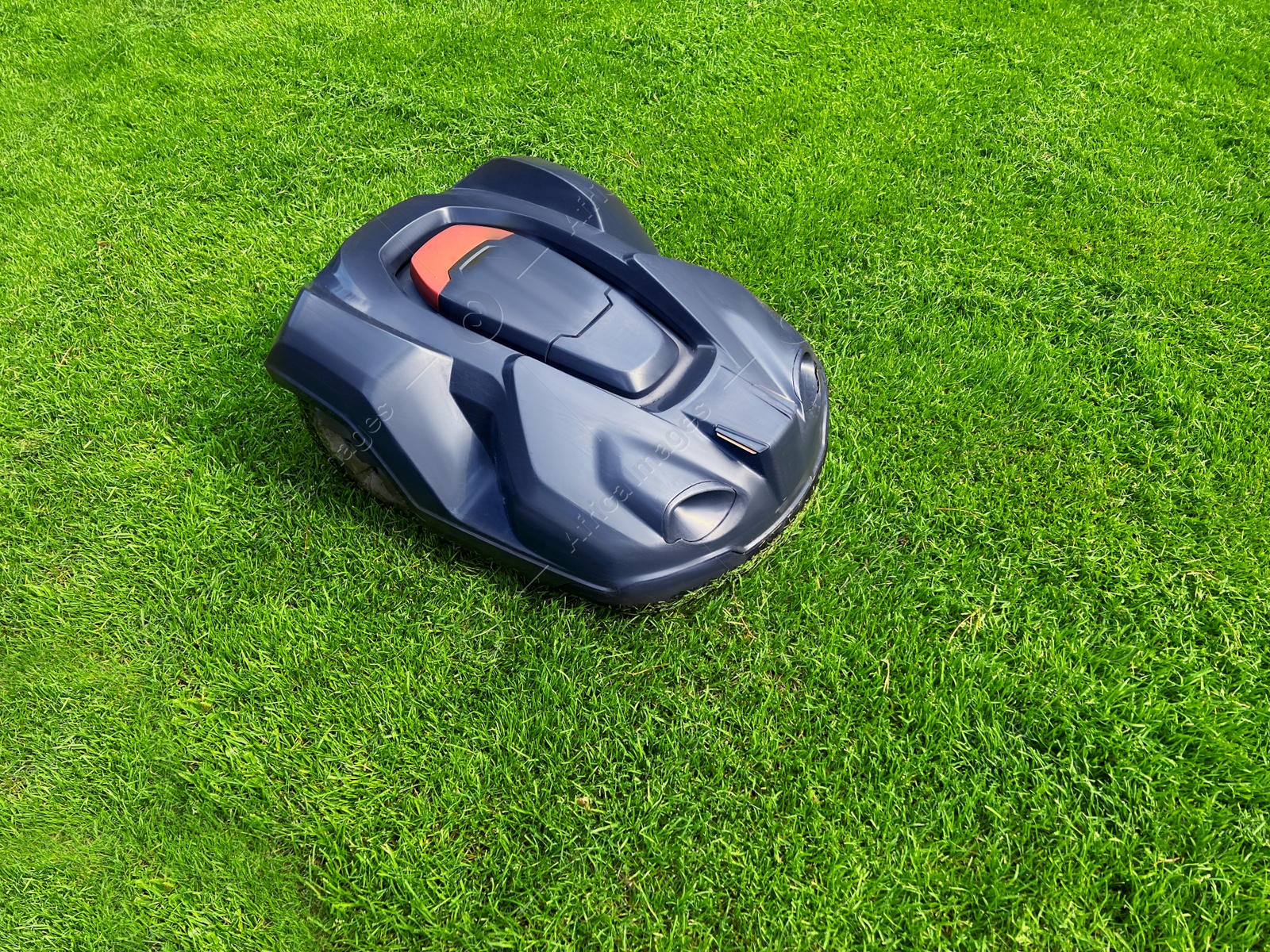 Photo of Modern robot lawn mower on green grass in garden