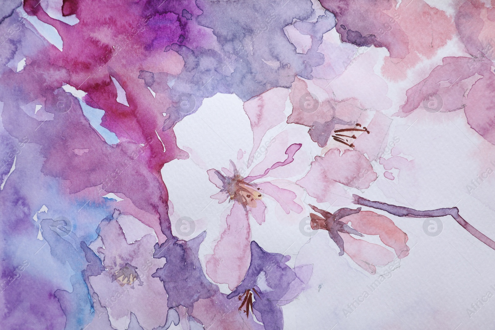 Photo of Closeup view of beautiful floral watercolor painting