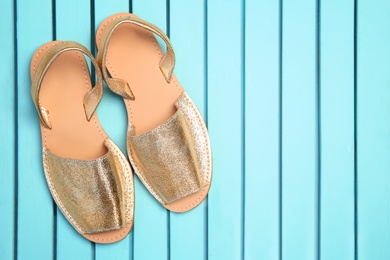 Pair of female shoes on wooden background