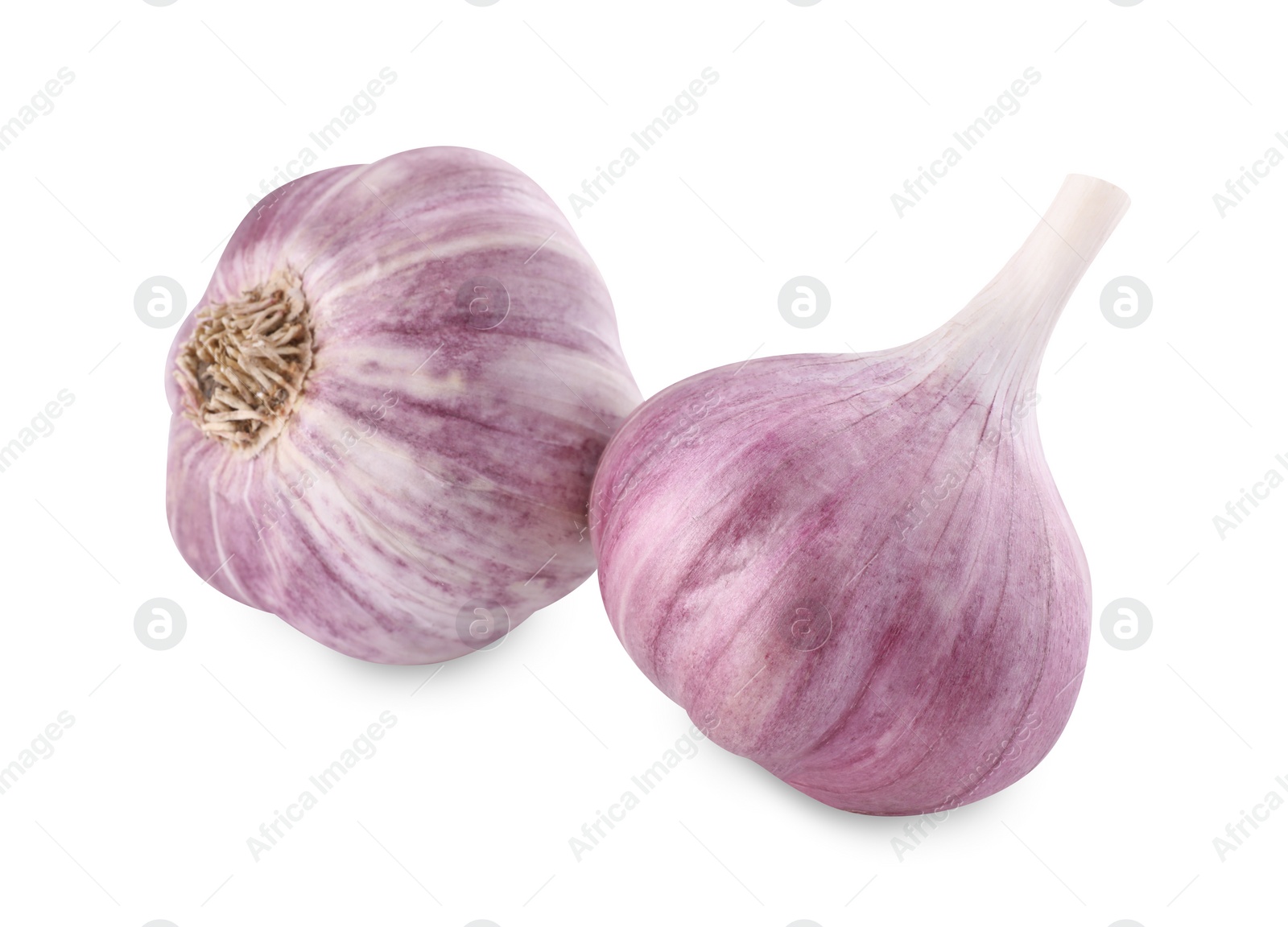 Photo of Fresh raw garlic heads isolated on white