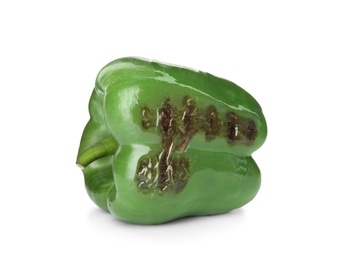 Grilled ripe paprika pepper on white background