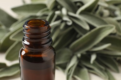 Photo of Bottle of essential sage oil and leaves, closeup. Space for text