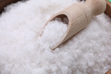 Photo of Scoop with white sea salt, closeup view