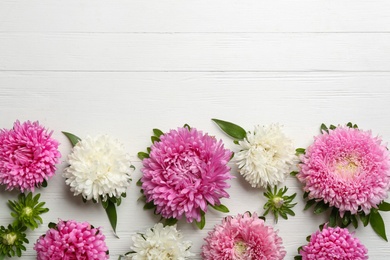 Photo of Beautiful asters and space for text on white wooden background, flat lay. Autumn flowers