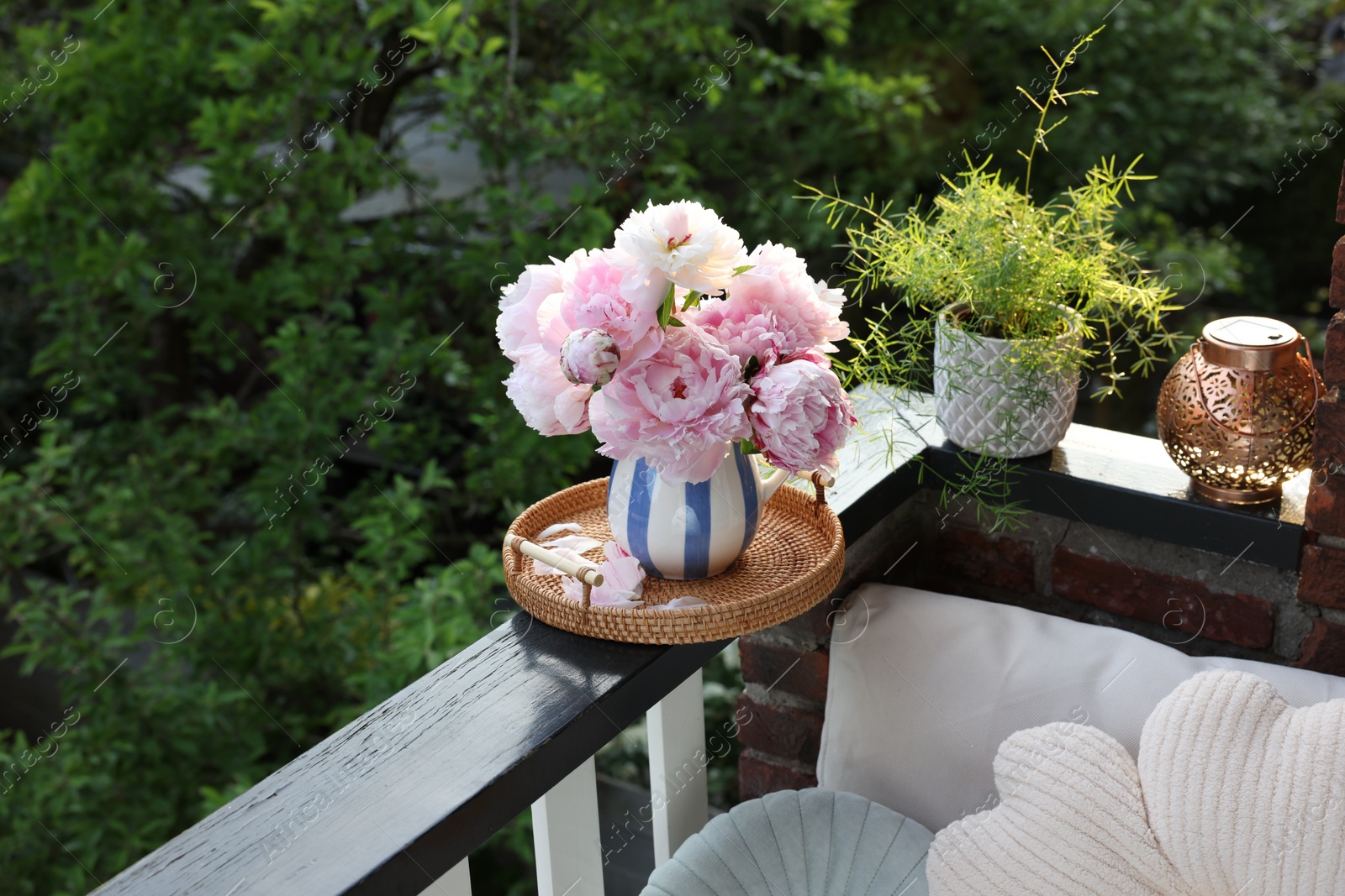 Photo of Beautiful pink peony flowers in vase and potted plant on balcony railing outdoors