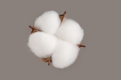 Photo of Beautiful fluffy cotton flower on beige background, top view