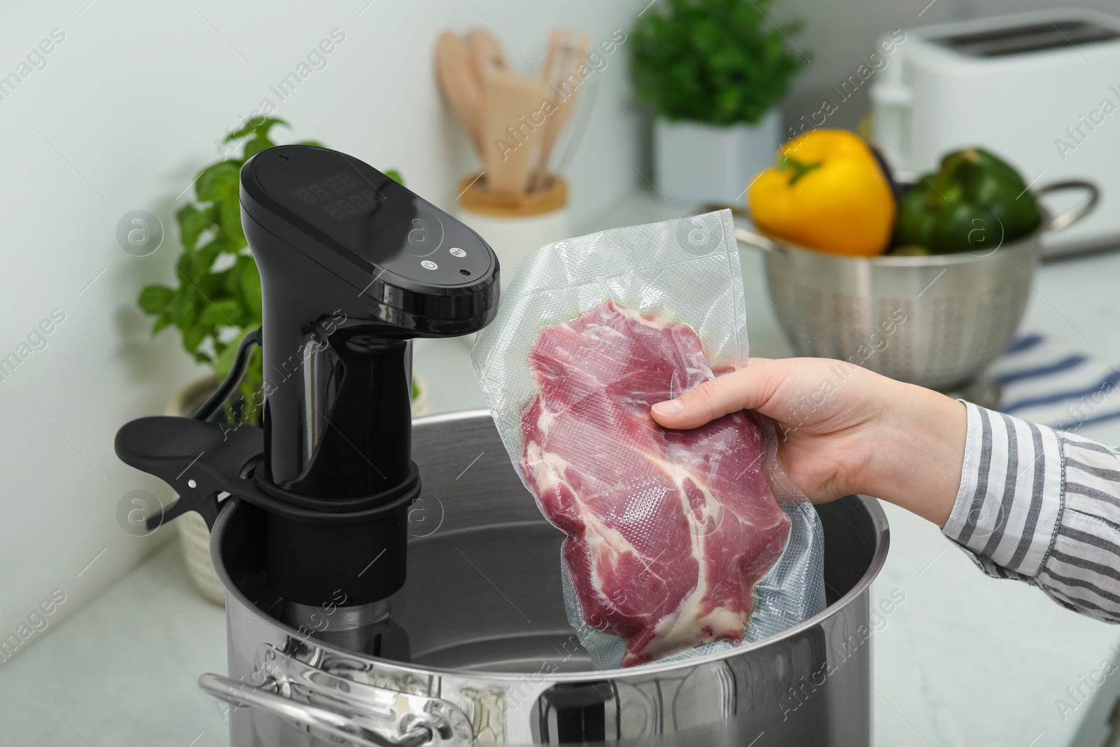 Photo of Woman putting vacuum packed meat into pot in kitchen, closeup. Thermal immersion circulator for sous vide cooking