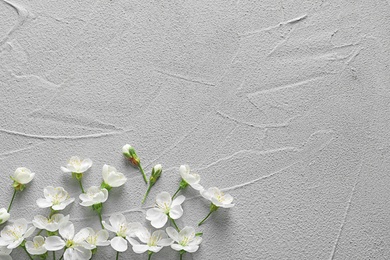 Photo of Beautiful blossoming flowers on grey background