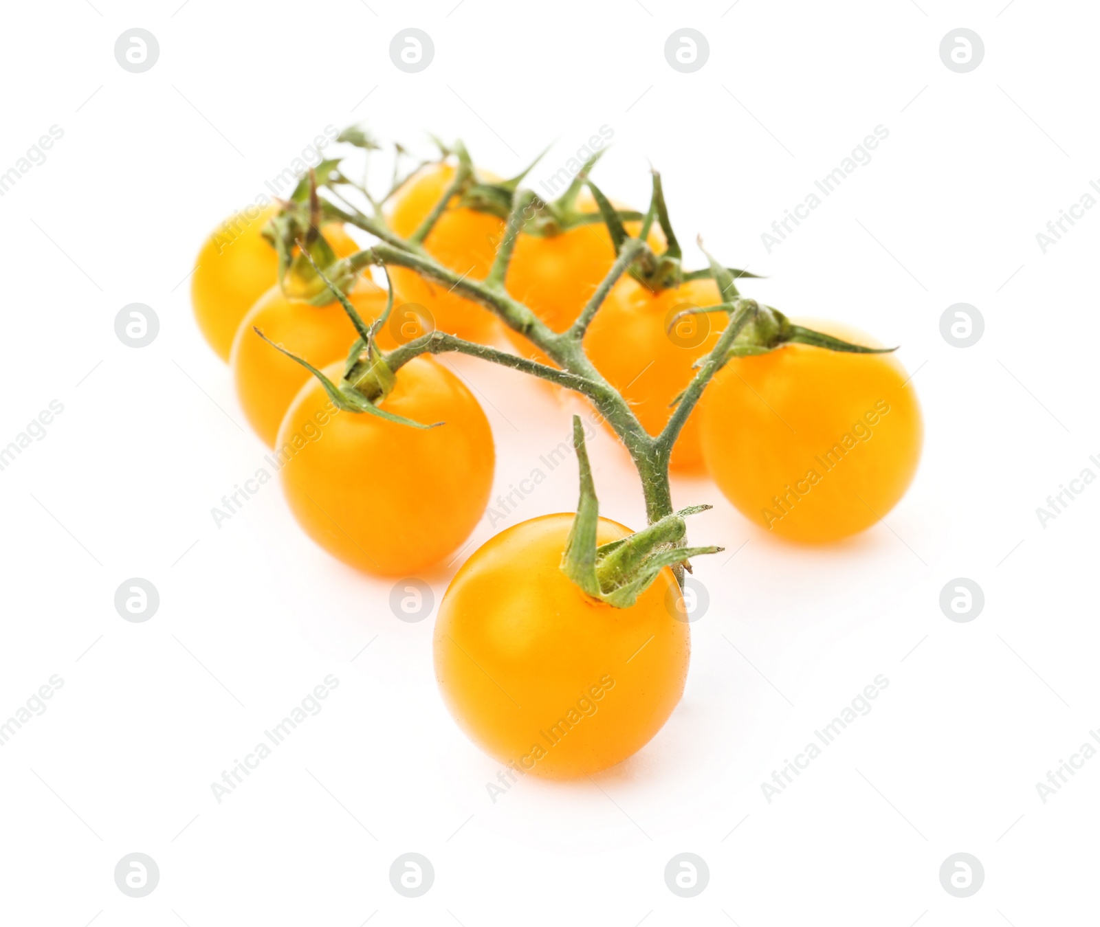 Photo of Branch of ripe yellow cherry tomatoes on white background