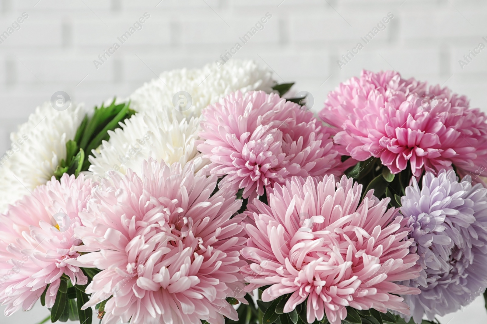 Photo of Beautiful aster flower bouquet near brick wall, closeup