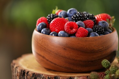 Photo of Different fresh berries in bowl on wooden stump outdoors, closeup