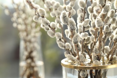 Photo of Beautiful pussy willow branches in vase on blurred background, closeup. Space for text