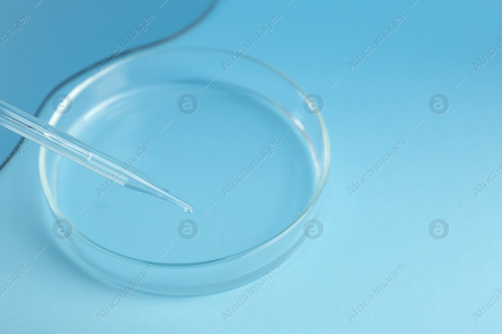 Photo of Empty petri dish and pipette on light blue background, closeup. Space for text