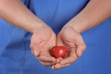 Doctor holding small heart, closeup. Prevent heart attack