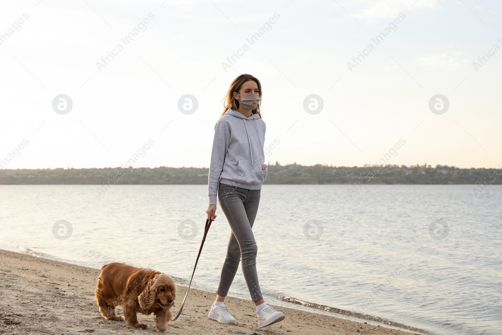 Photo of Woman in protective mask with English Cocker Spaniel on beach. Walking dog during COVID-19 pandemic