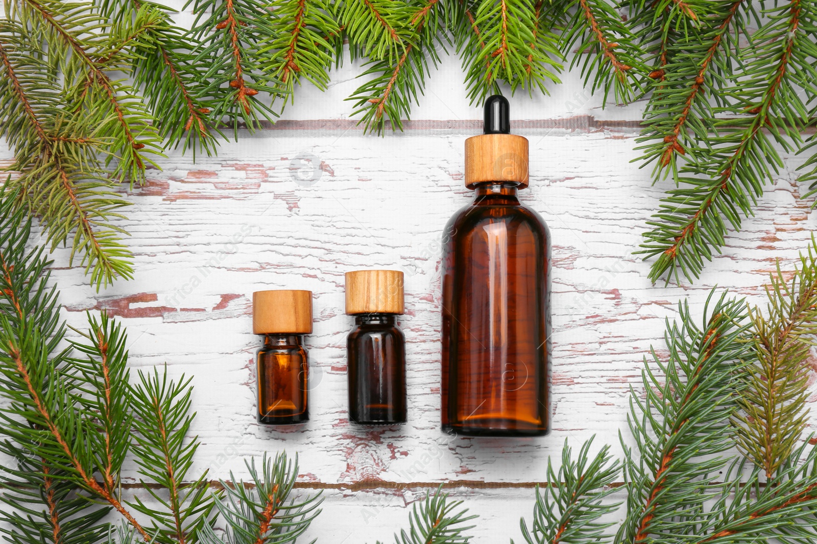 Flat lay composition with bottles of pine essential oil and conifer tree branches Photo of Flat lay composition with bottles of pine essential oil and conifer tree branches