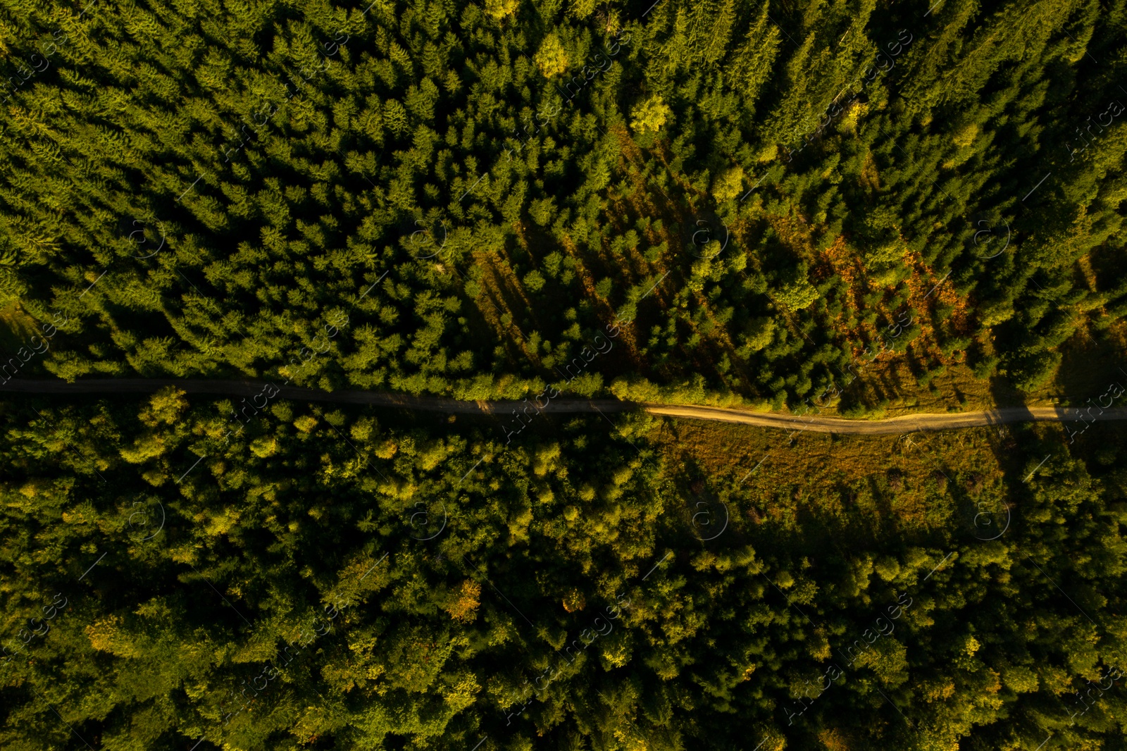 Image of Aerial view of road surrounded by forest with beautiful green trees. Drone photography