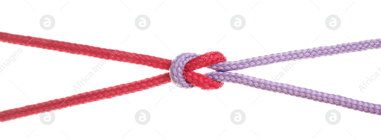 Photo of Colorful ropes tied together with knot isolated on white. Unity concept