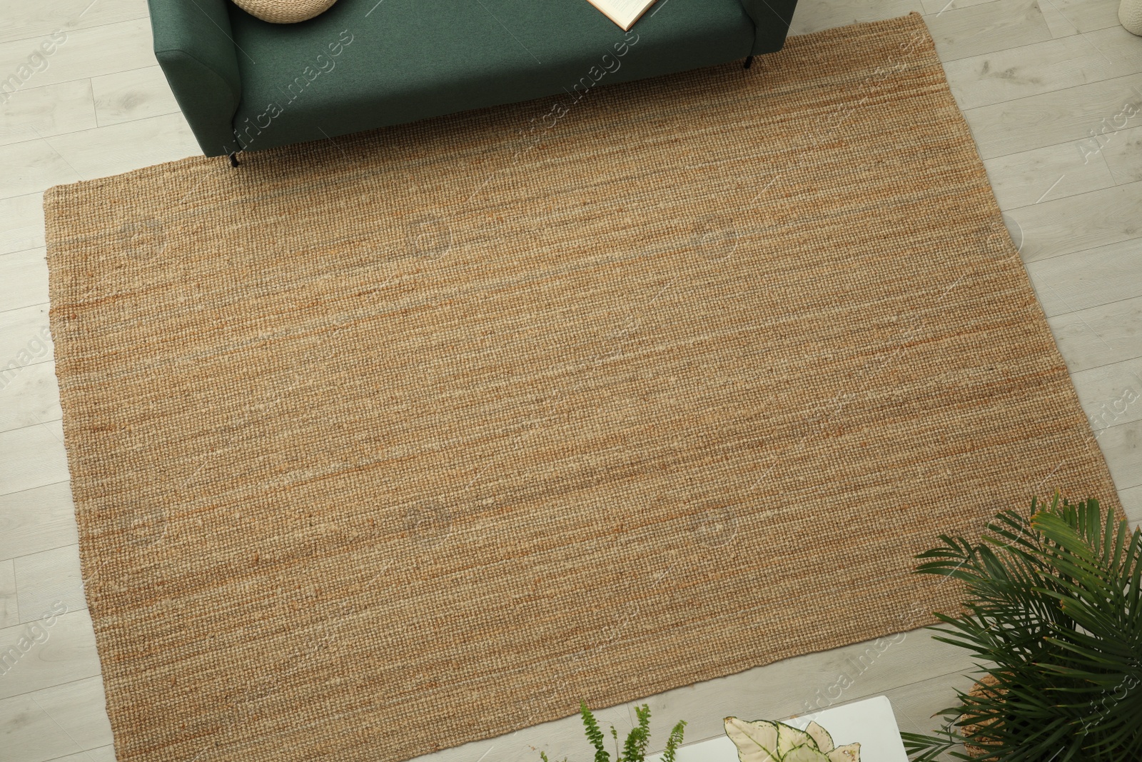 Photo of Beige carpet on wooden floor in living room, above view