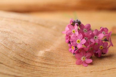 Photo of Beautiful pink forget-me-not flowers on wooden table, closeup. Space for text