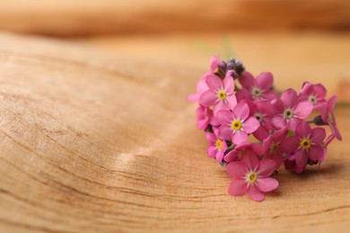 Beautiful pink forget-me-not flowers on wooden table, closeup. Space for text