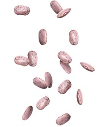 Many beans falling on white background. Vegan diet  