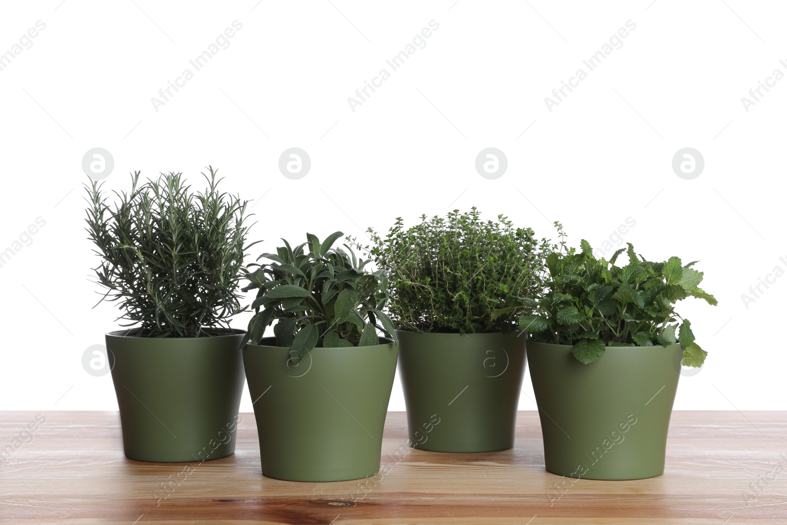 Photo of Pots with thyme, sage, mint and rosemary on wooden table against white background