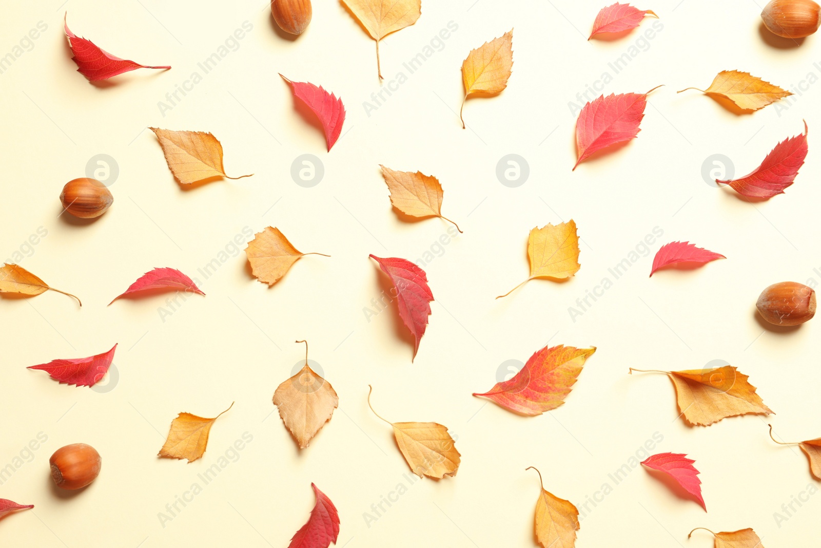 Photo of Flat lay composition with autumn leaves on color background